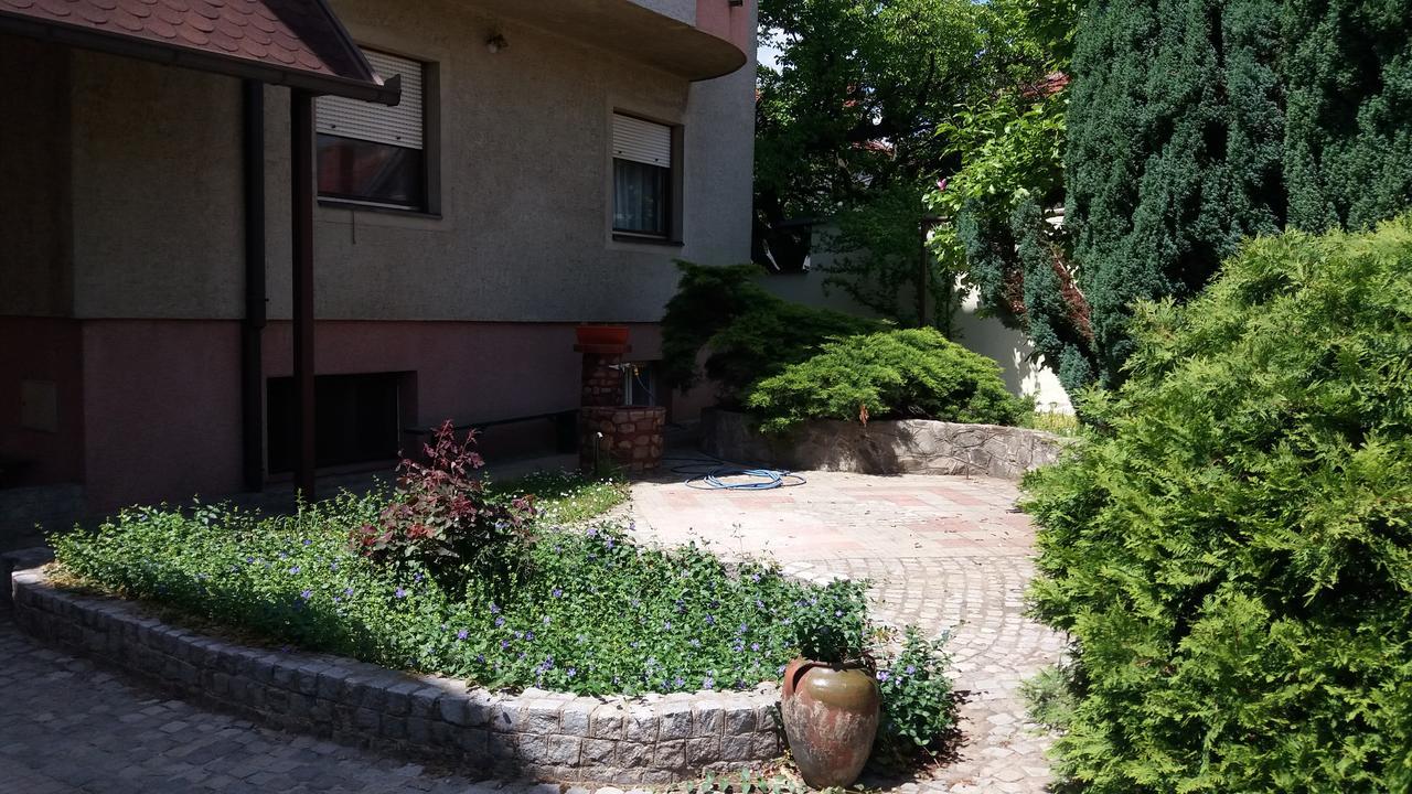Guest House Stefanovic Вранє Екстер'єр фото