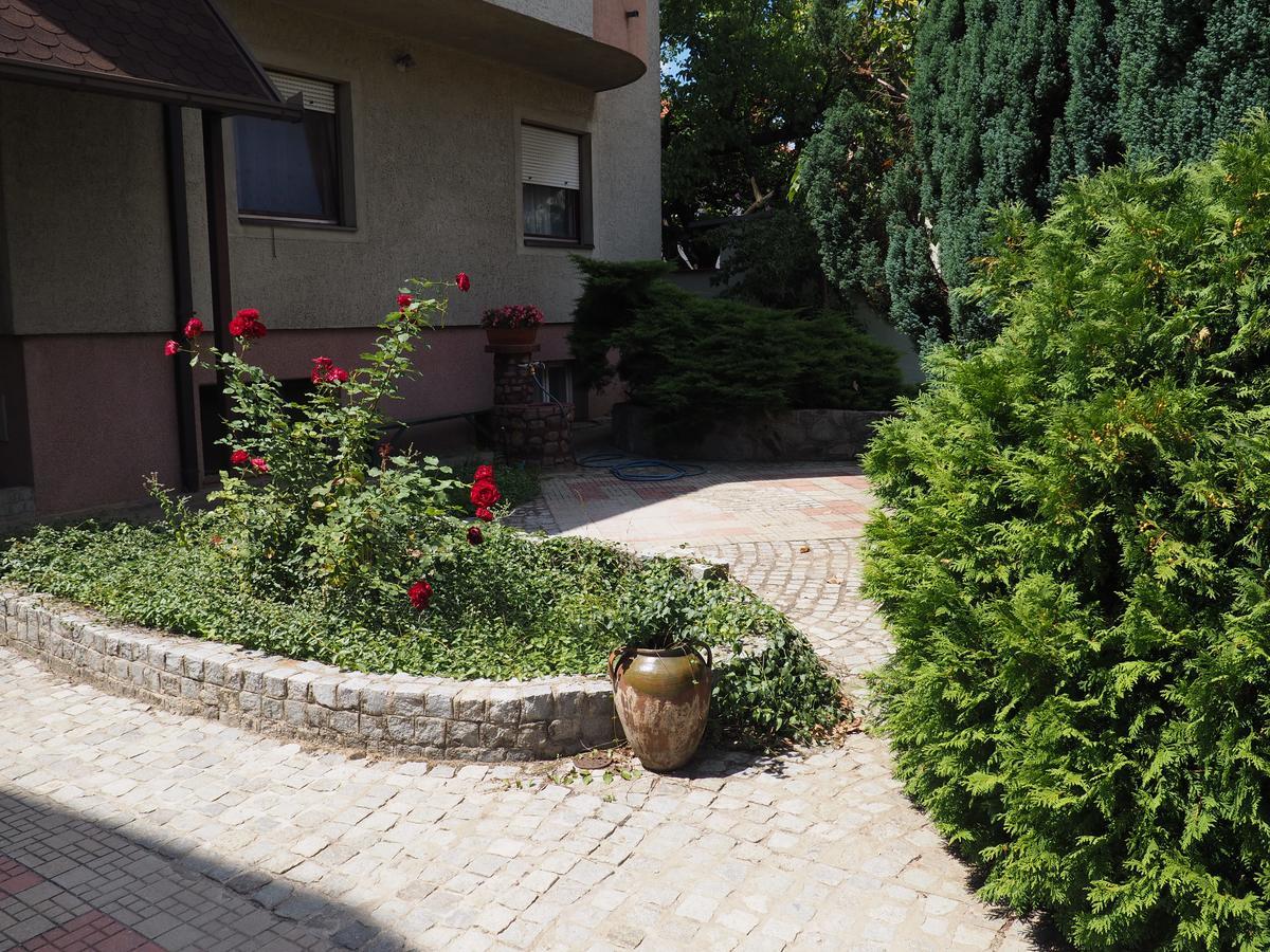 Guest House Stefanovic Вранє Екстер'єр фото