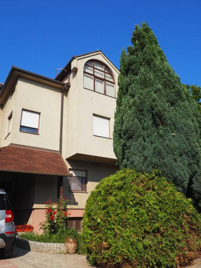 Guest House Stefanovic Вранє Екстер'єр фото