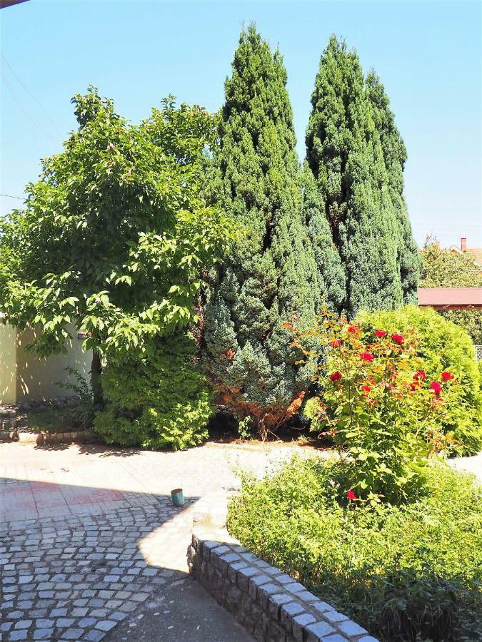 Guest House Stefanovic Вранє Екстер'єр фото